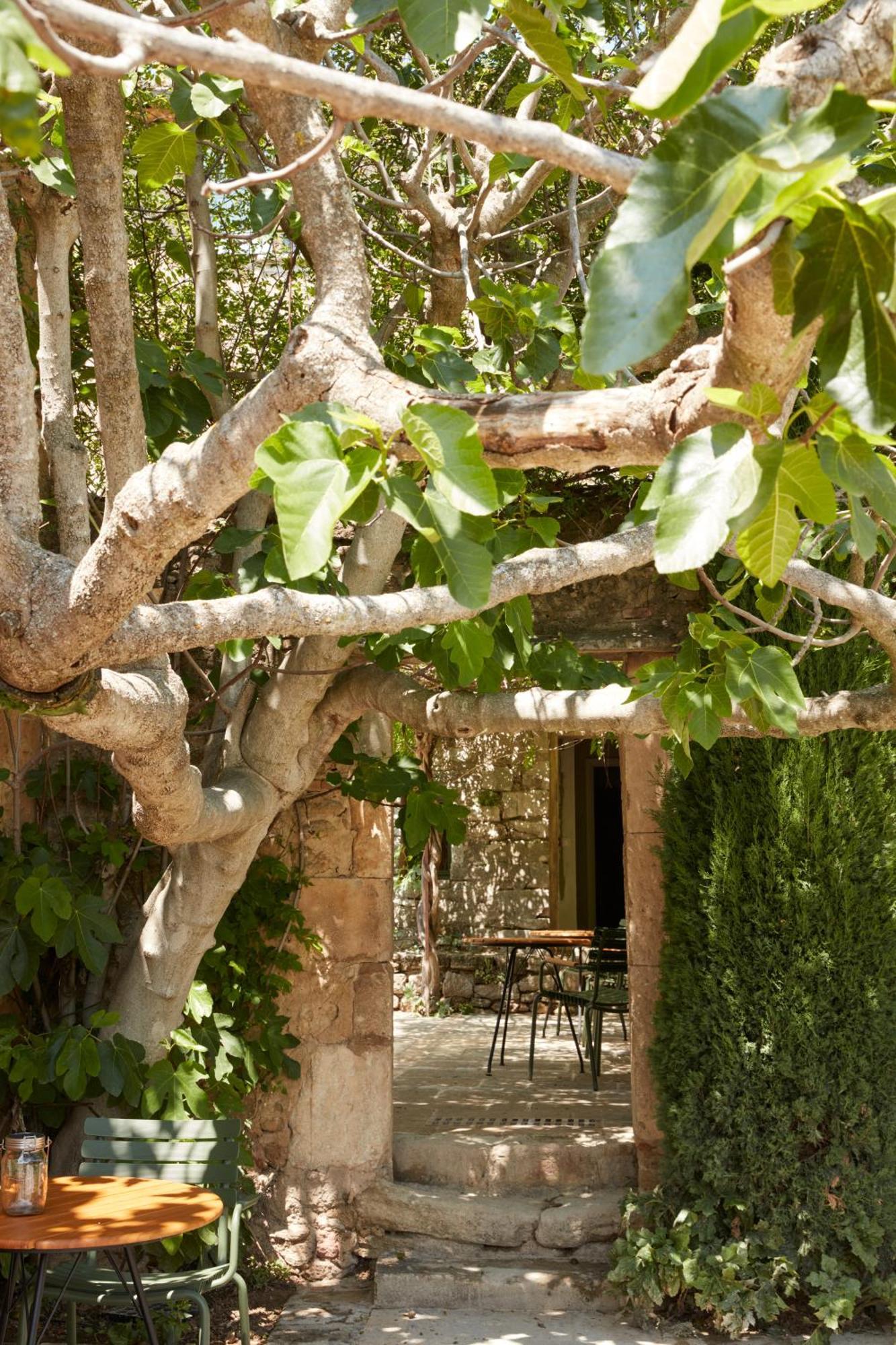 Bed and Breakfast La Bastide Du Mourre Oppède Exterior foto